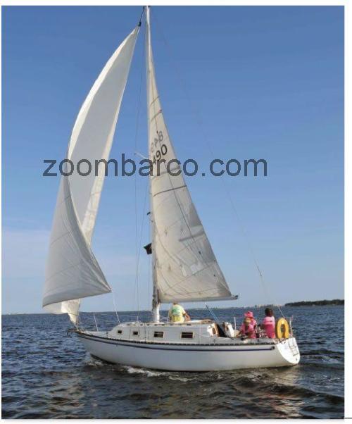 Hunter 30 ficha tecnica